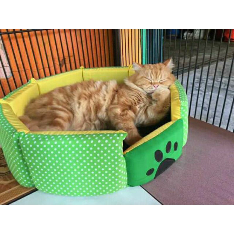 Kasur kucing besar