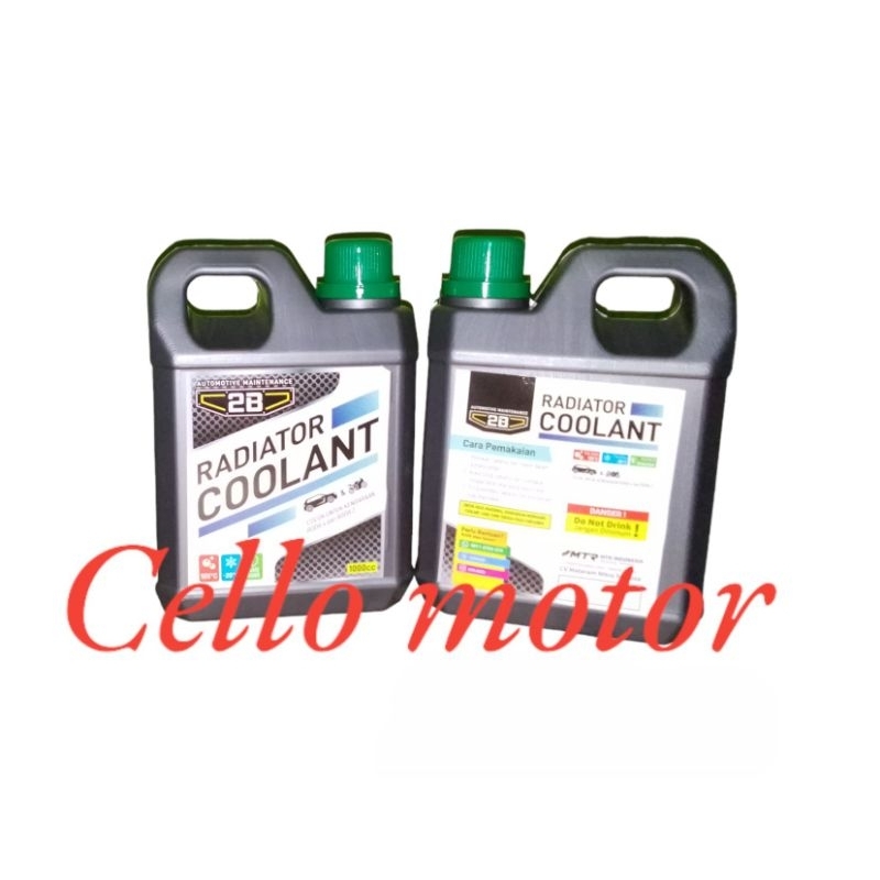 Air radiator coolant yamaha