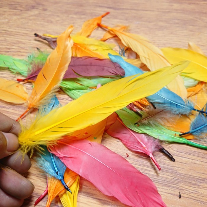 ✔️READY Bulu Ayam Aksesoris warna warni / Bulu Ayam Warna Warni / Bulu Ayam Isi Banyak