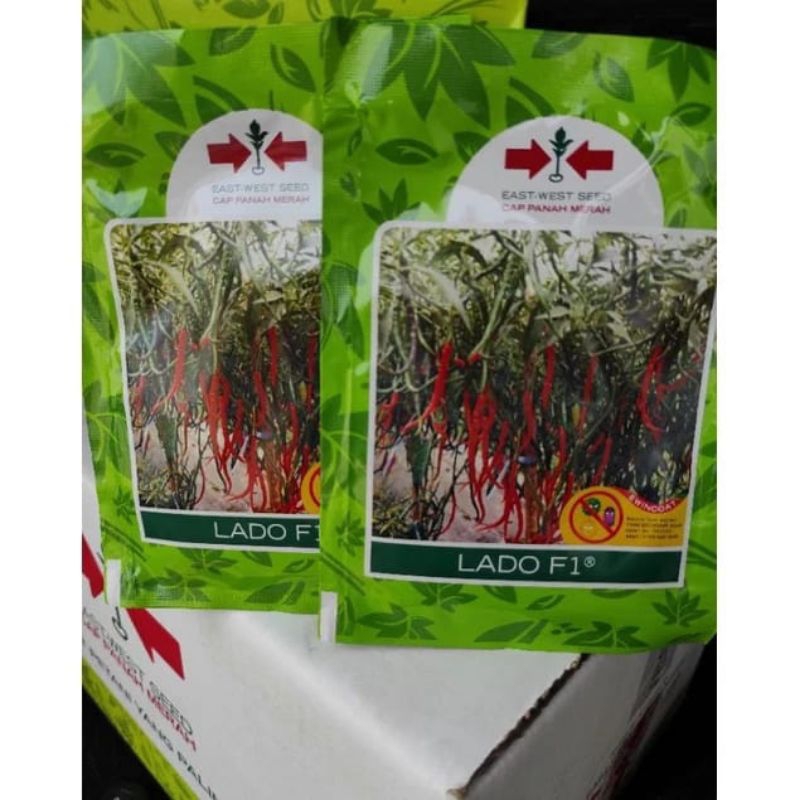 Benih bibit Cabe merah keriting LADO F1 1750 butir