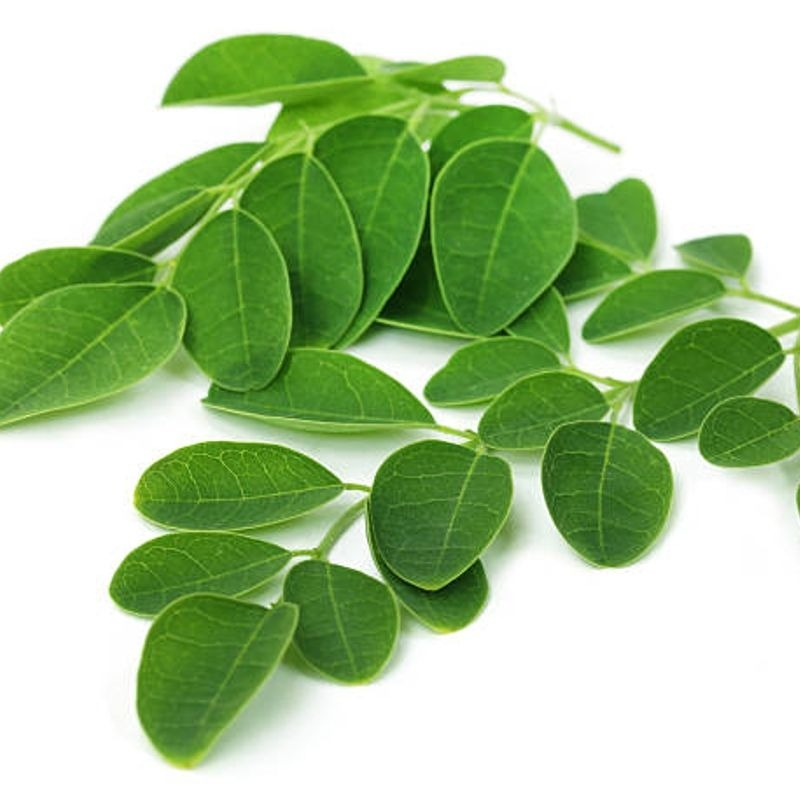 

art@dewata - Daun Kelor Segar Dipetik Saat Akan dikirim 200gram