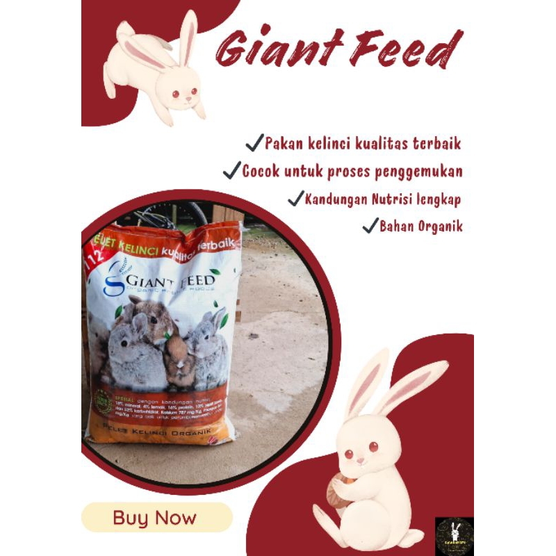 Giant Feed Pakan Kelinci (Repack) 1kg