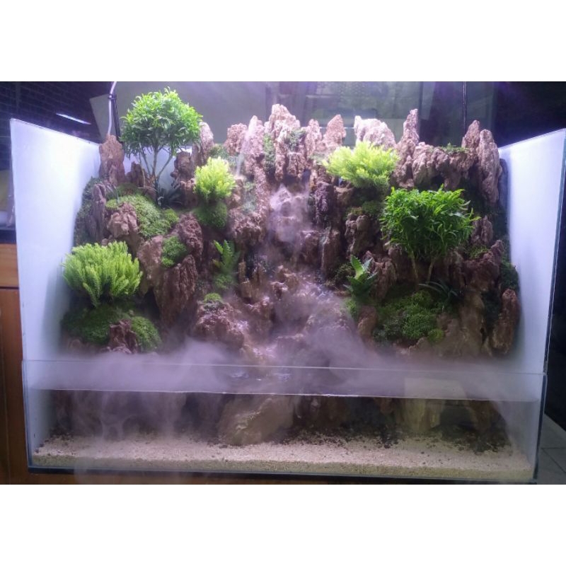 PAKET FULLSET PALUDARIUM 60 CM PROMO TERBATAS..