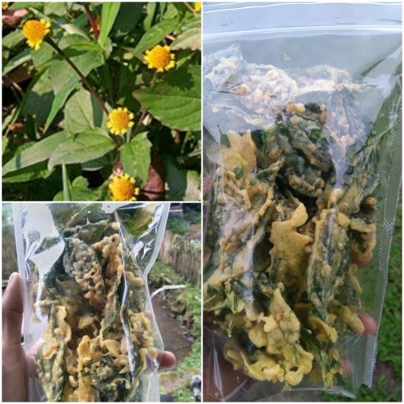 

Keripik daun jotang 200 gram