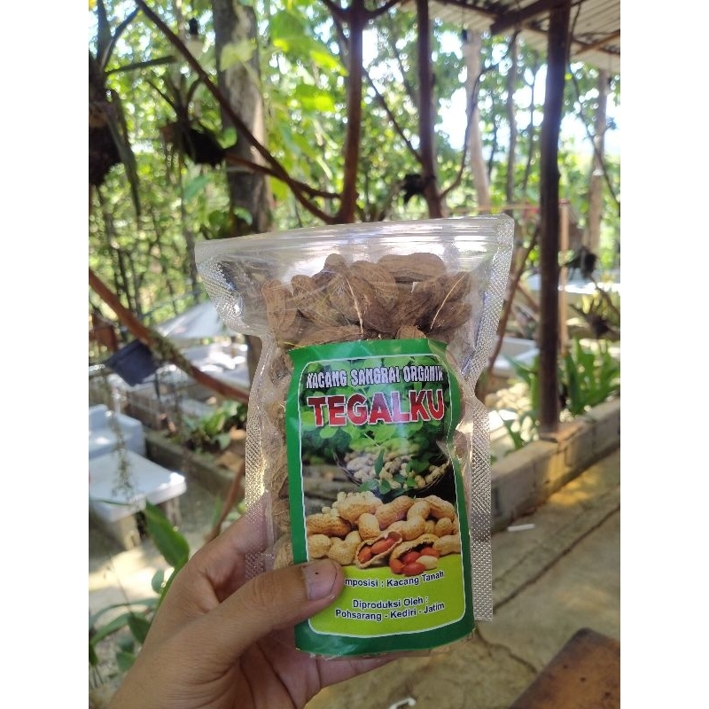 

Kacang kulit blurik di goreng renyah gurih murah
