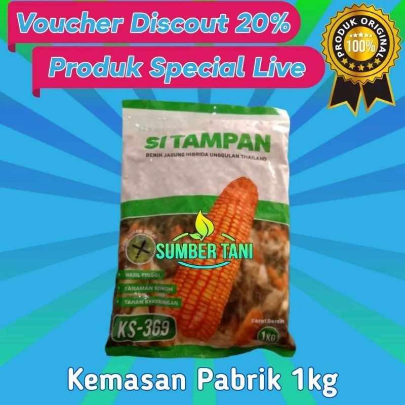 

Benih Jagung SI TAMPAN | 1kg Benih Jagung Hibrida THAILAND KS 369