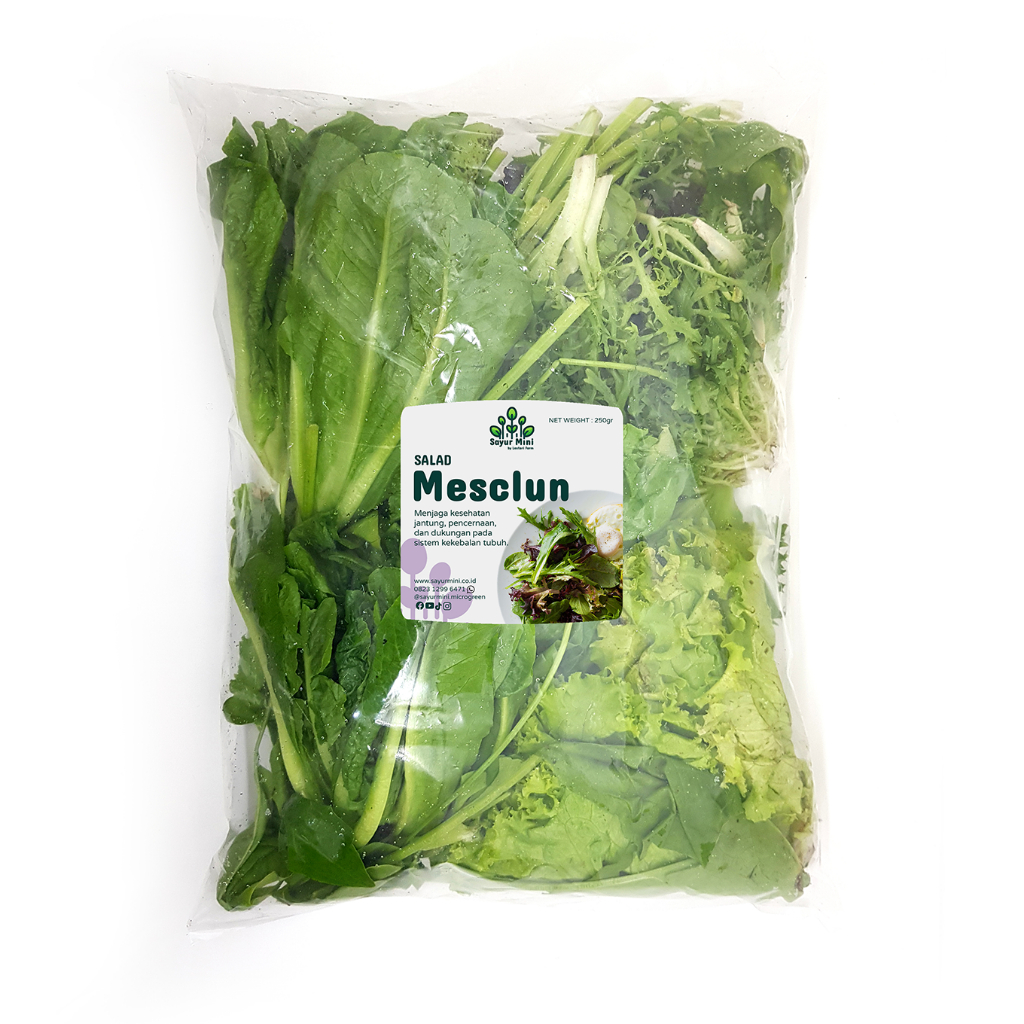 

SAYUR MINI Salad Mesclun 250gr - Salad Mix - 7 Mix - Fresh Cut