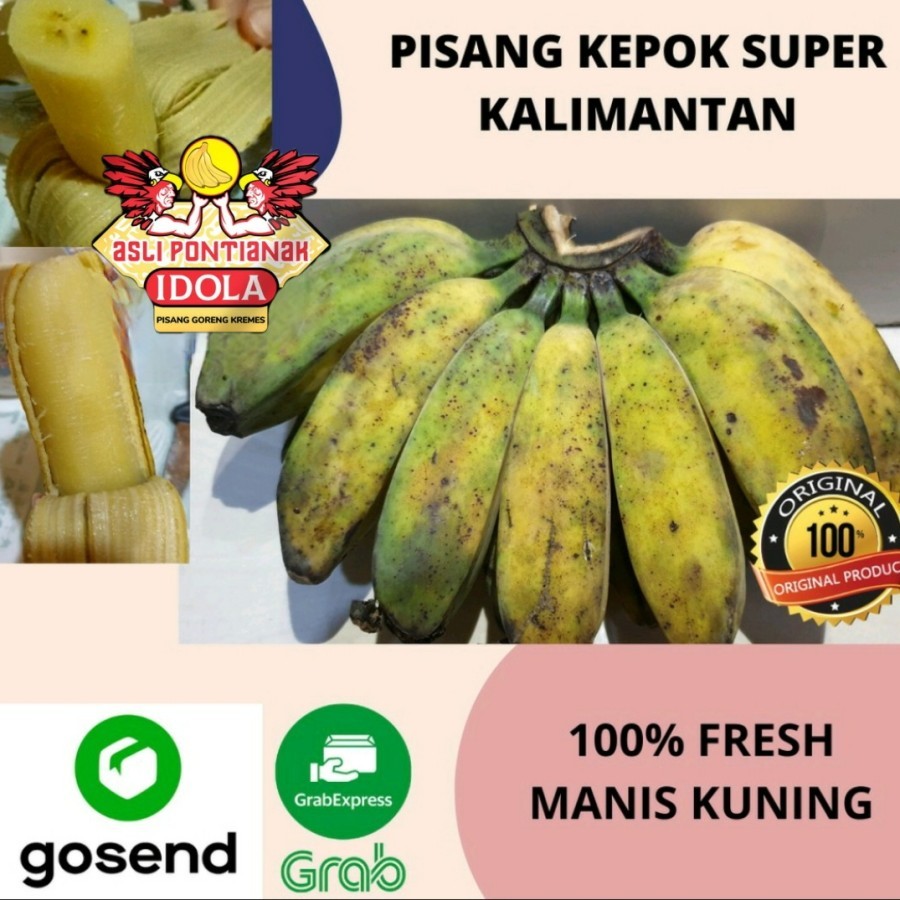 

Pisang Kepok Kuning Pontianak Kalimantan Super Fresh Manis Per Kilo