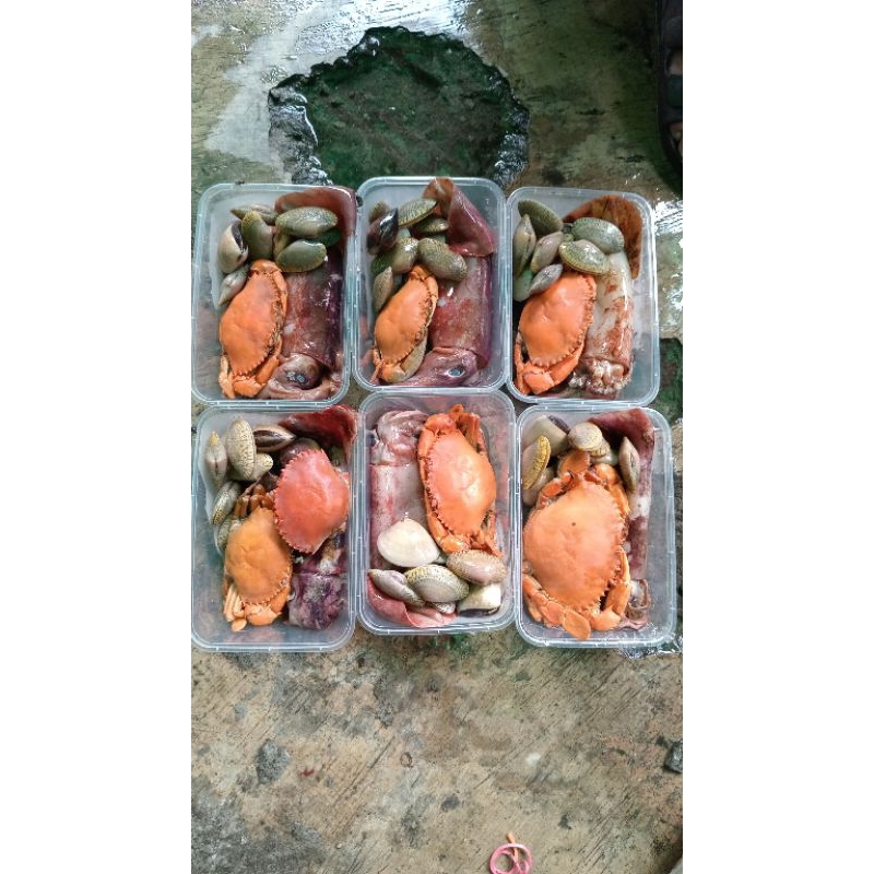 

(-/+500gr) Seafood Mix Campur Siap Olah