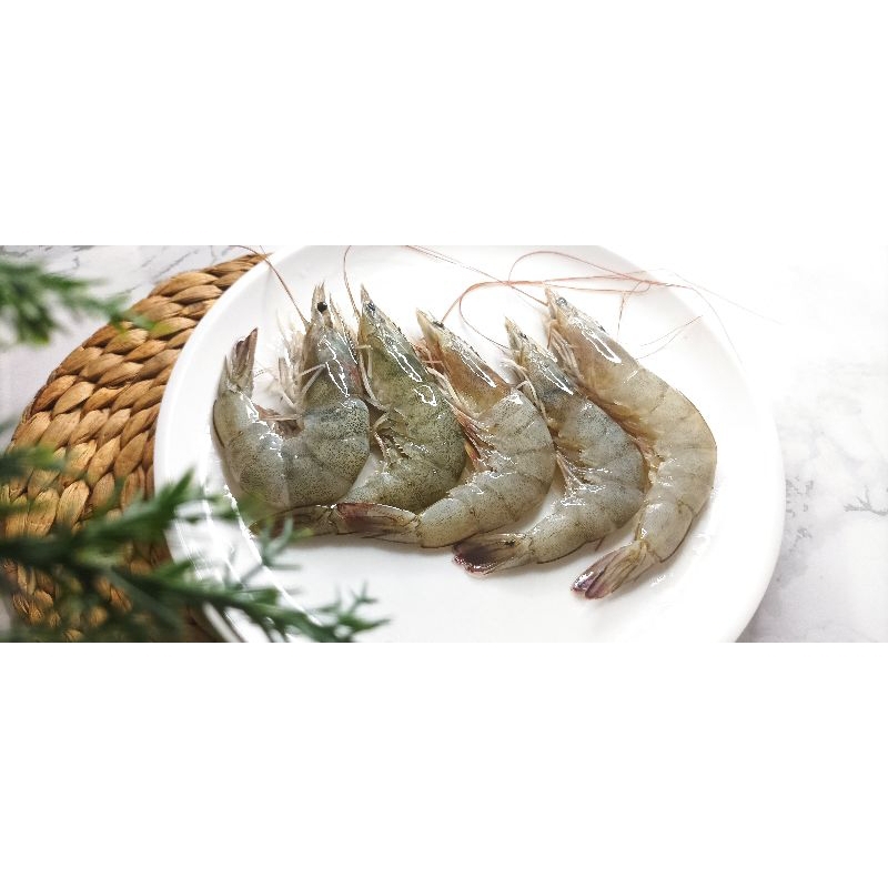 

Udang Segar Tanpa Kepala