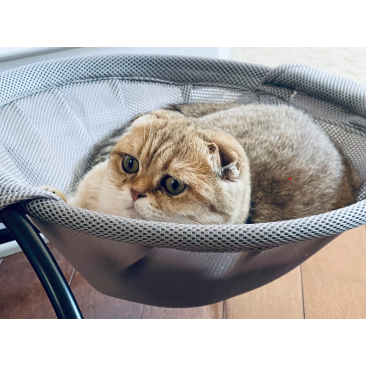 BONEY ASLI ORIGINAL 100% BPOM | PENINGGI BADAN IDEAL BPOM | BONEY HERBAL PENINGGI BADAN