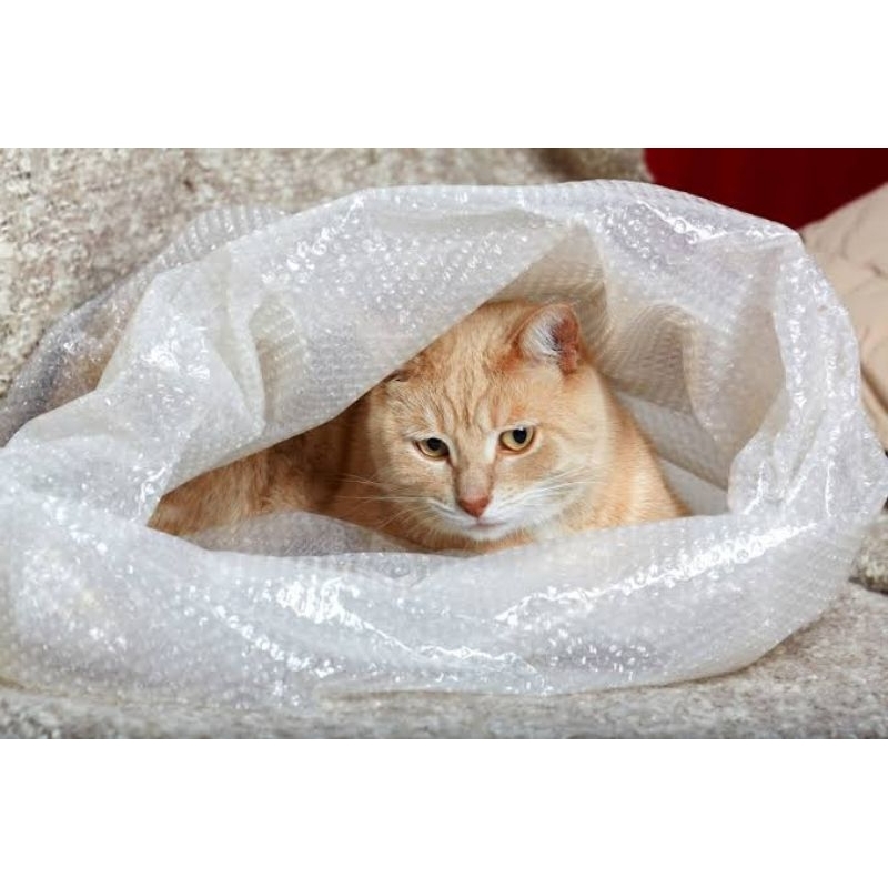 

Tambahan Bubble Wrap