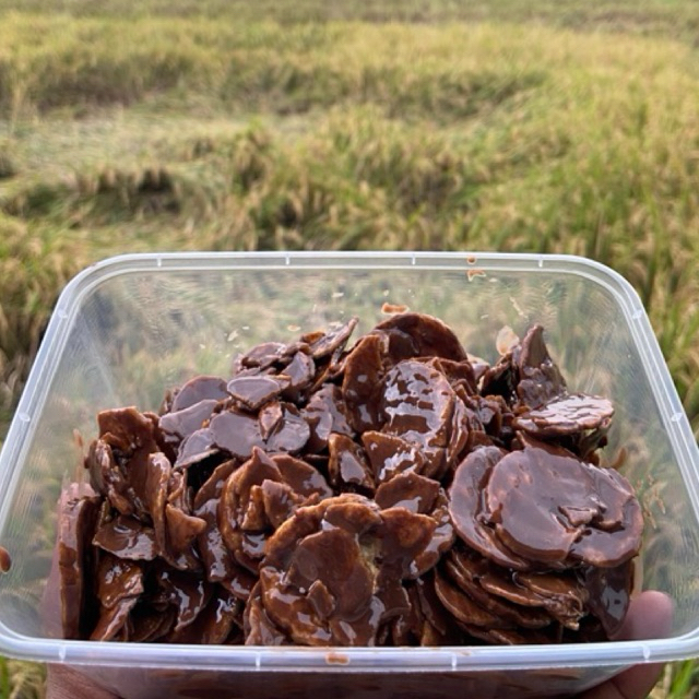 

kripik pisang lumer 500gram bervarian rasa coklat mactha taro