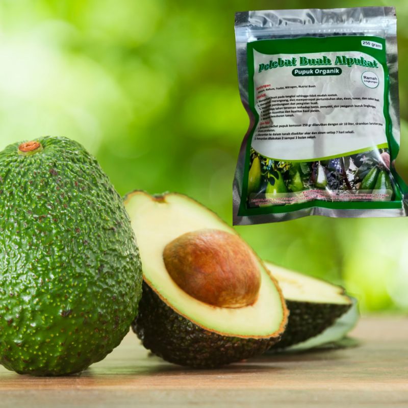 pupuk buah alpukat, pupuk pelebat buah alpukat,  boster  alpukat