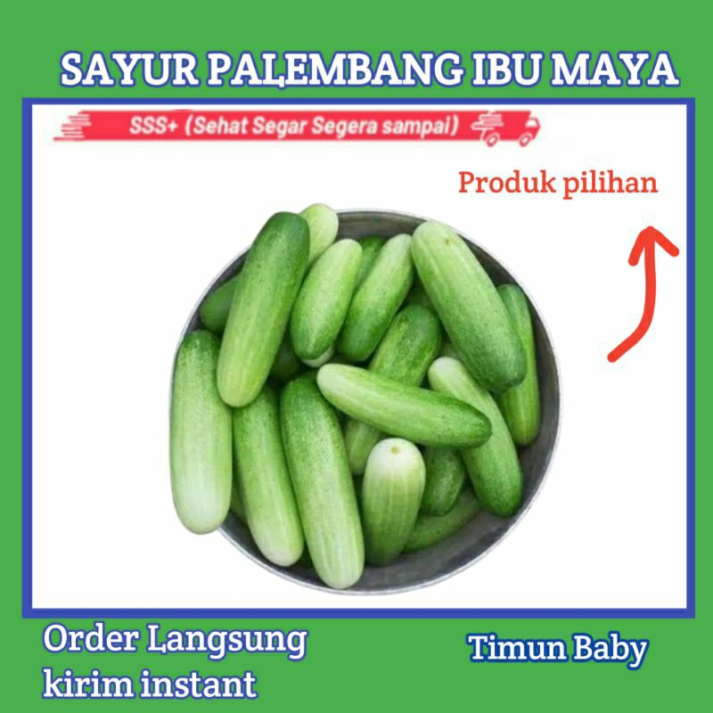 

Baby Timun - Sayur Sayuran Segar Online Palembang Ibu Maya