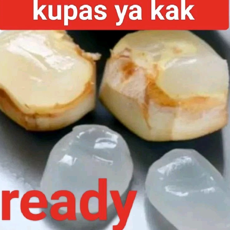 

Siwalan kupas/lontar