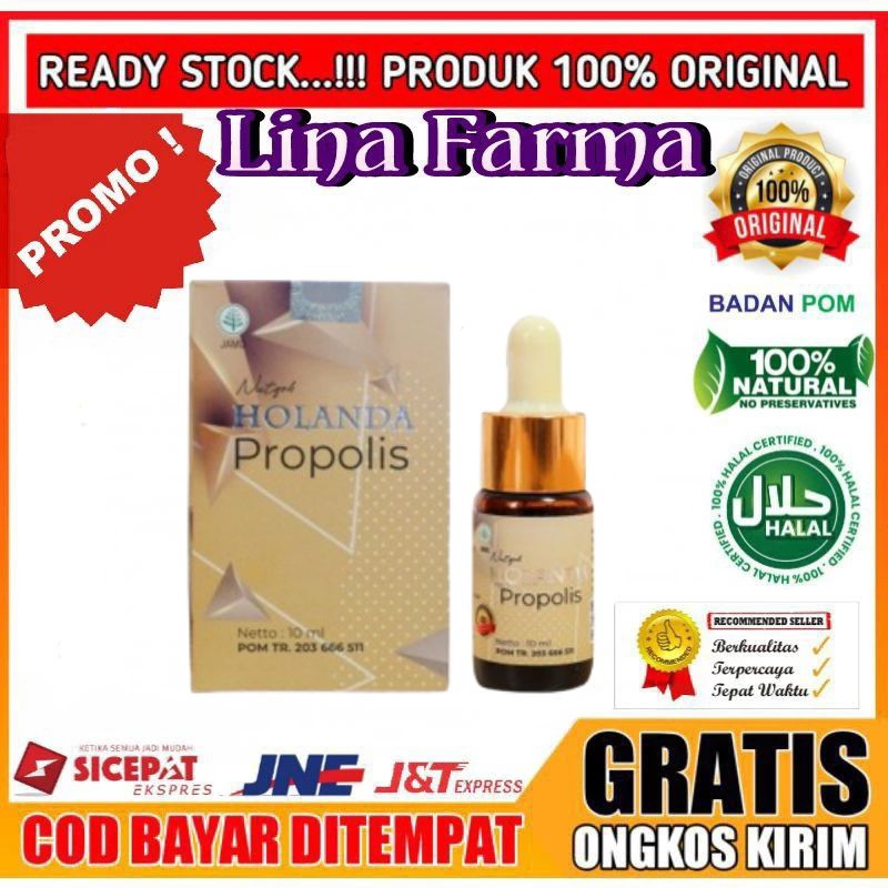 HOLANDA PROPOLIS Asli 100% Original HOLANDA PROPOLIS Obat Kolesterol Hipertensi Diabetes Terbaik