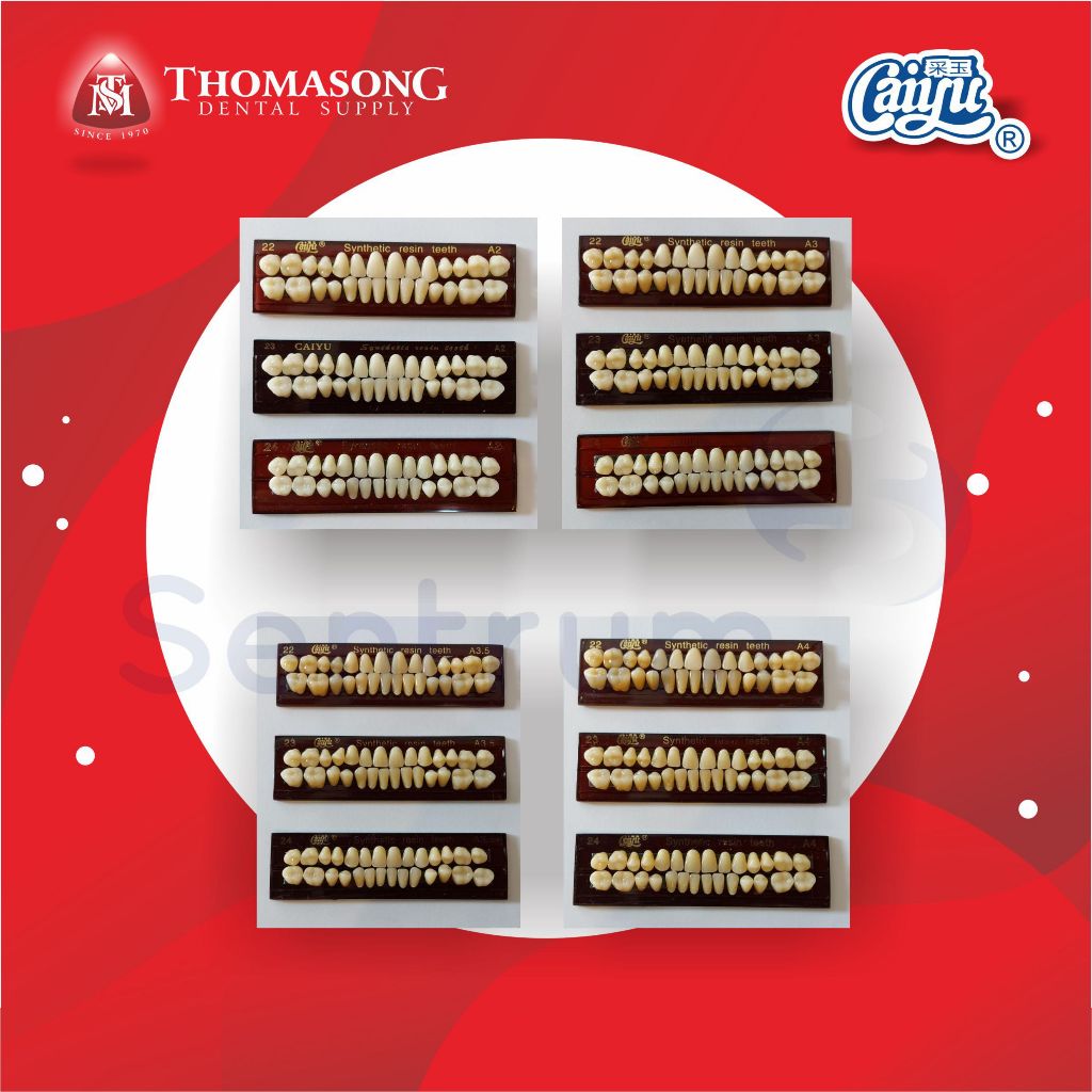 Gigi Palsu CAIYU - FULL SET