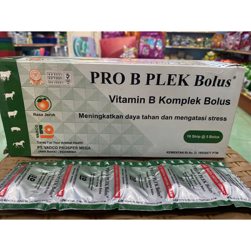 Pro Bplek Bolus Vitamin B Komplek bolus rasa Jeruk