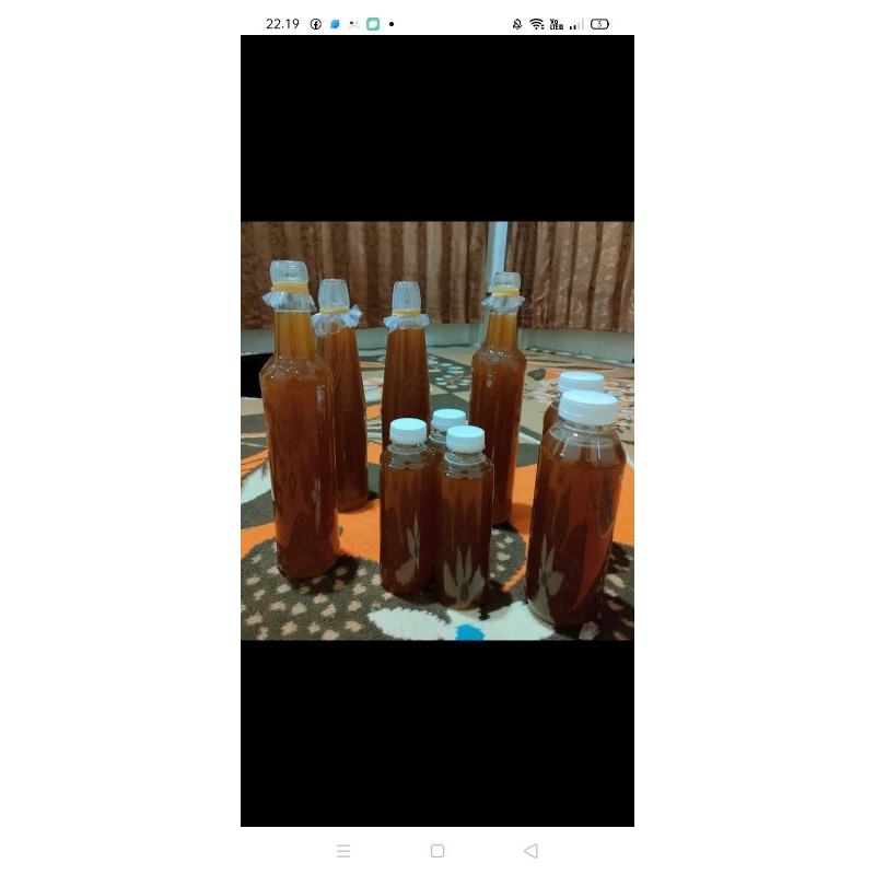 

Madu Hutan Liar Asli Murni Lebah Besar Apis Dorsata Odeng Original