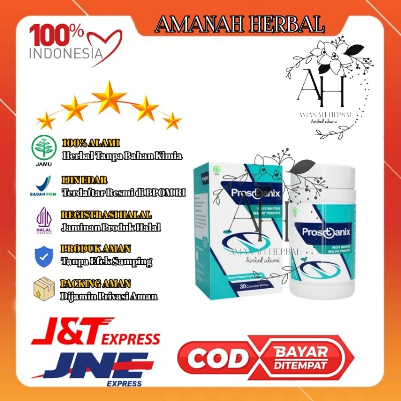 Prostanix Asli Original Obat Prostat Herbal Resmi BPOM