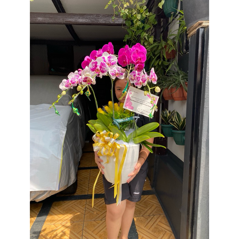 Hampers Anggrek Bulan