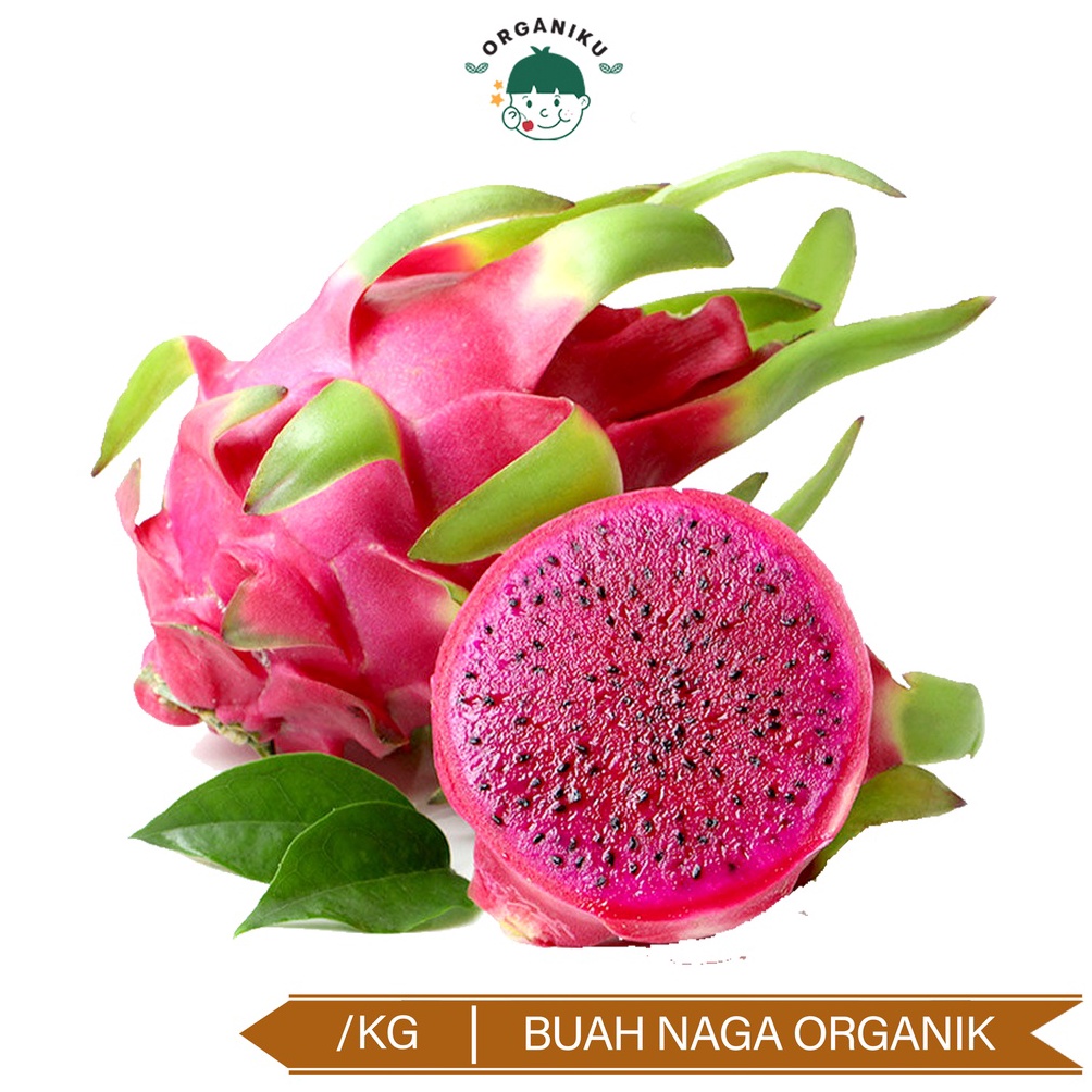 

Bayar itempat rgani ragn Fruit Buah Naga rganik per kg 8