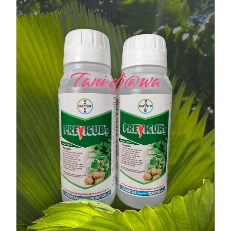 Fungisida PREVICUR 722 SL 500 ml