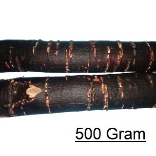 

Akar Sikkam Singkam Cingkam Tjingkeum Simalungun Kayu sikkam Kulit Sikkam