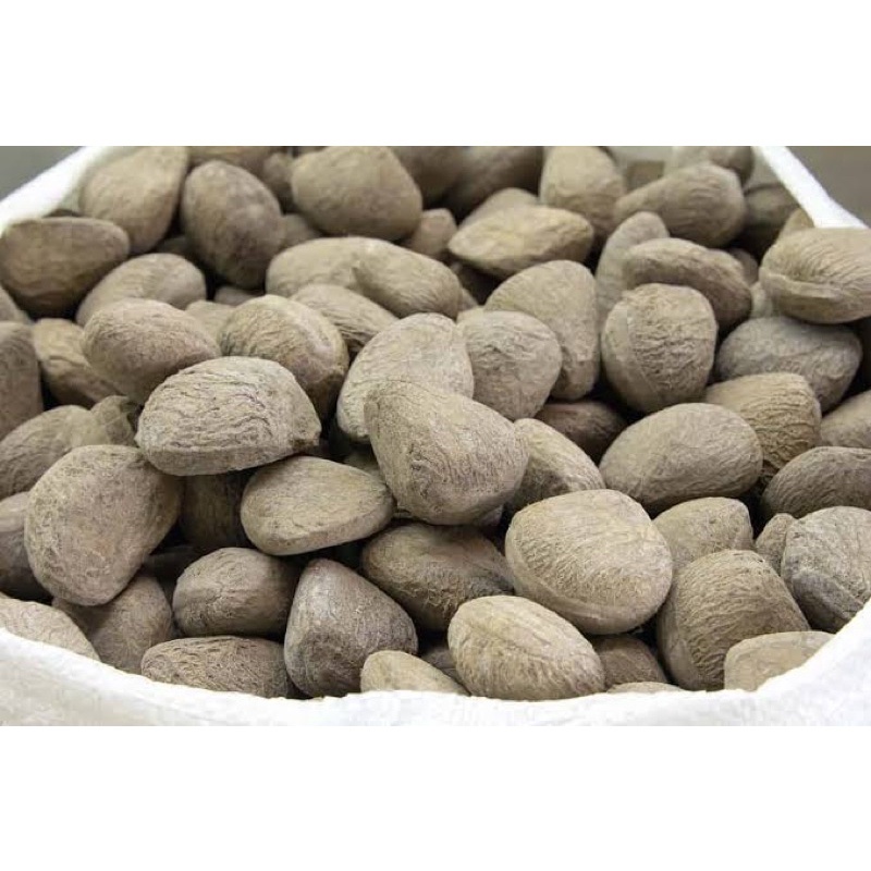 Biji Kluwek / Kluwak/ kepayang 250gr