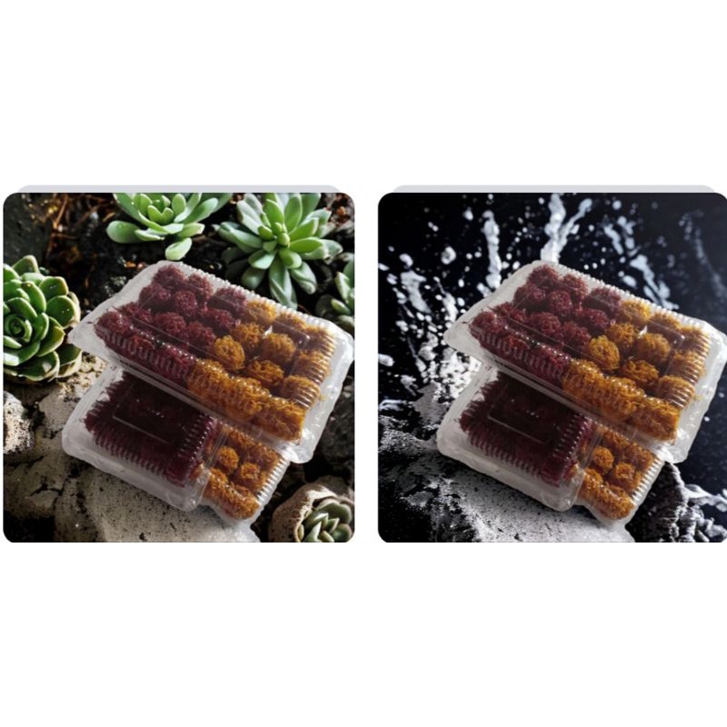 

Grubi murah yogyakarta