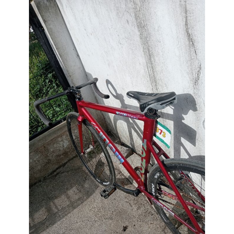 fork cinelli vigorelli shark (custom)