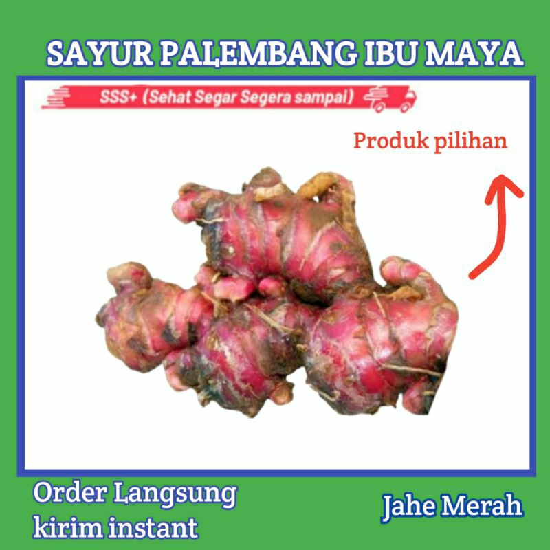 

Jahe Merah 500 Gram