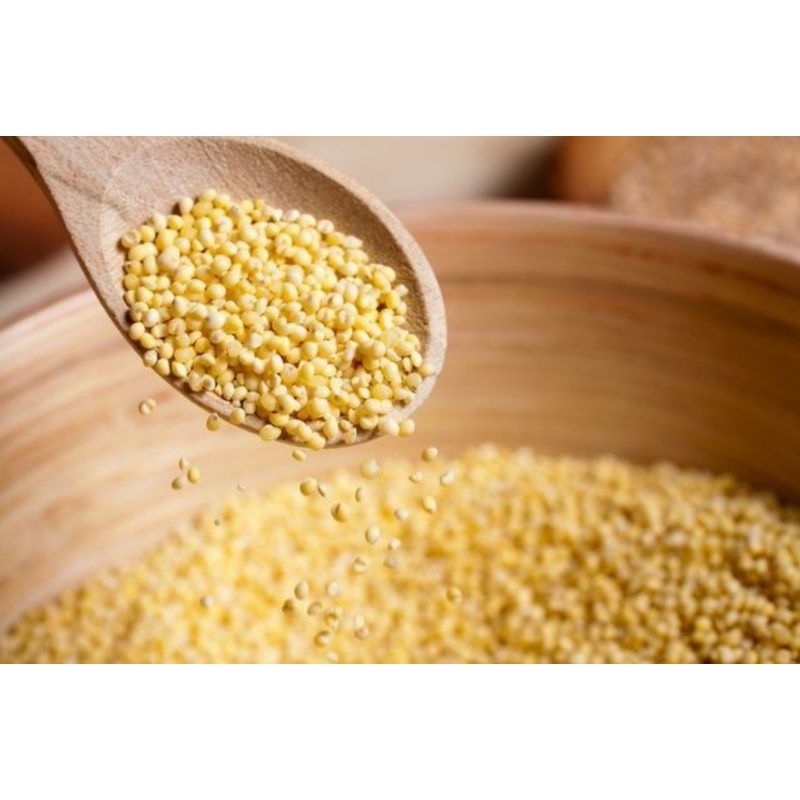 

Organik hulled millet 500gram