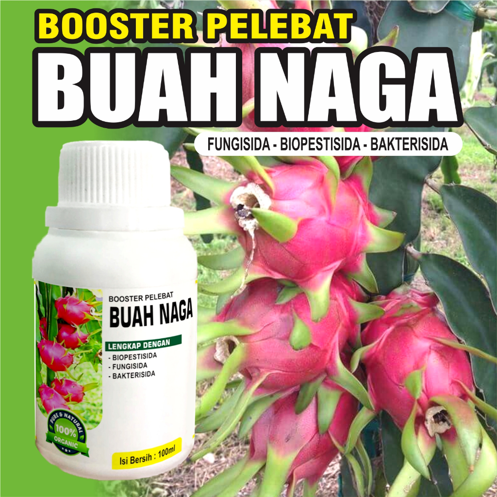 Pupuk Booster Buah Naga Pelebat Organik Cepat Berbuah Lebat 100ml murni fermentasi organik