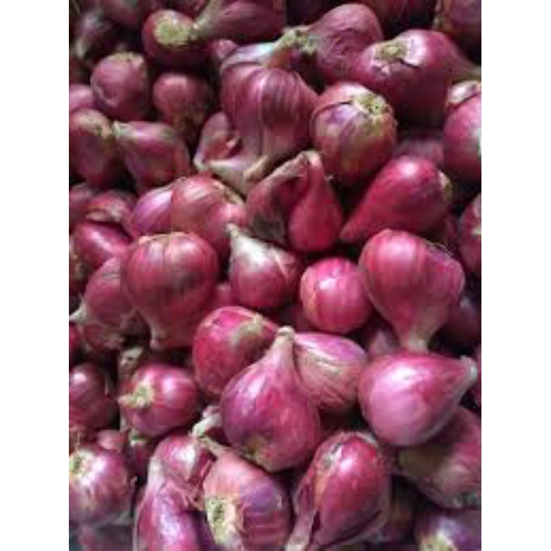 

Bawang Merah Brebes 500gram