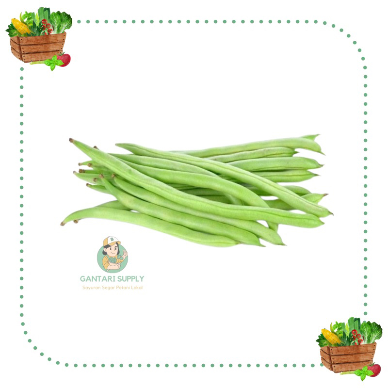 

Sayuran Buncis Fresh & Segar