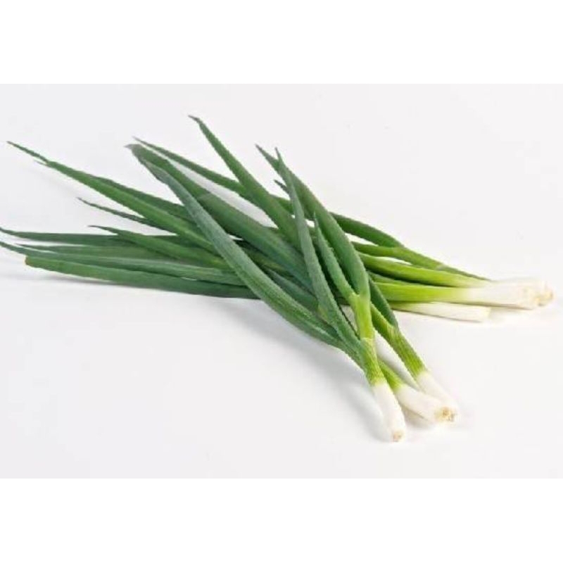 

Daun bawang pack fresh segar (100% lokal)