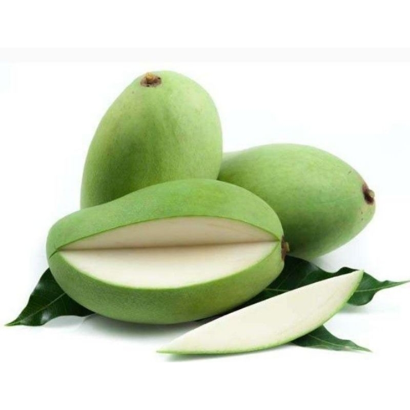 

Mangga Muda fresh 1kg