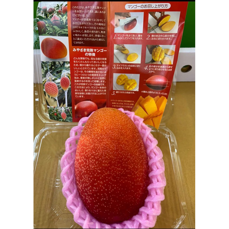 

MANGGA MIYAZAKI BOX MIKAN JAPAN
