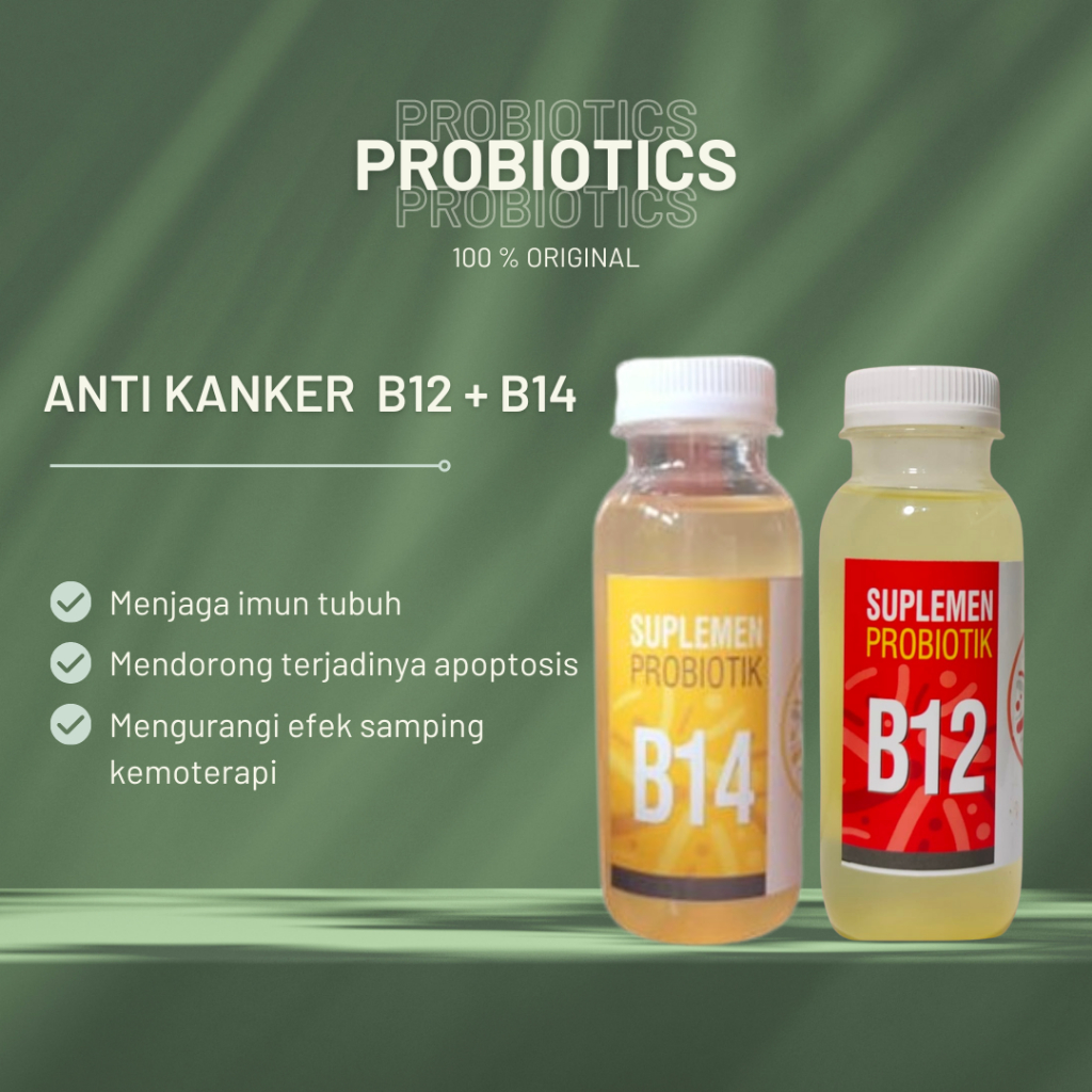 Probiotik B12 & B14 Prof Sukardi, Kurangi Efek Samping Kemoterapi, Membuat Apoptosis pada Sel Kanker