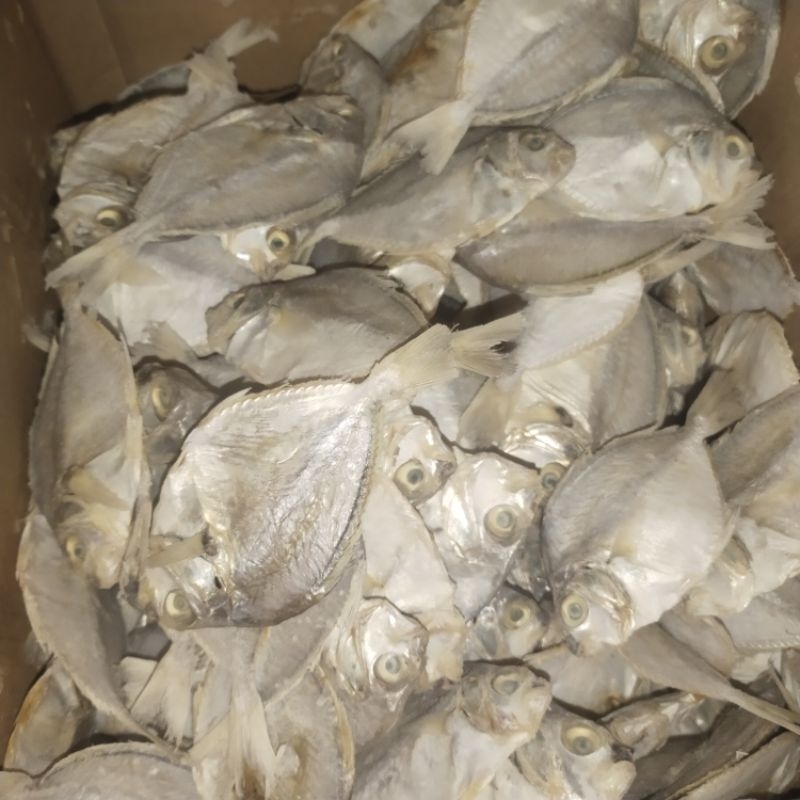 

Ikan Asin pirik sedanag 1 kg Enak Dan Gurih