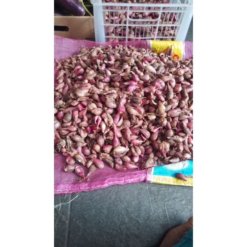 

bawang merah brebes surga jajan kebutuhanku