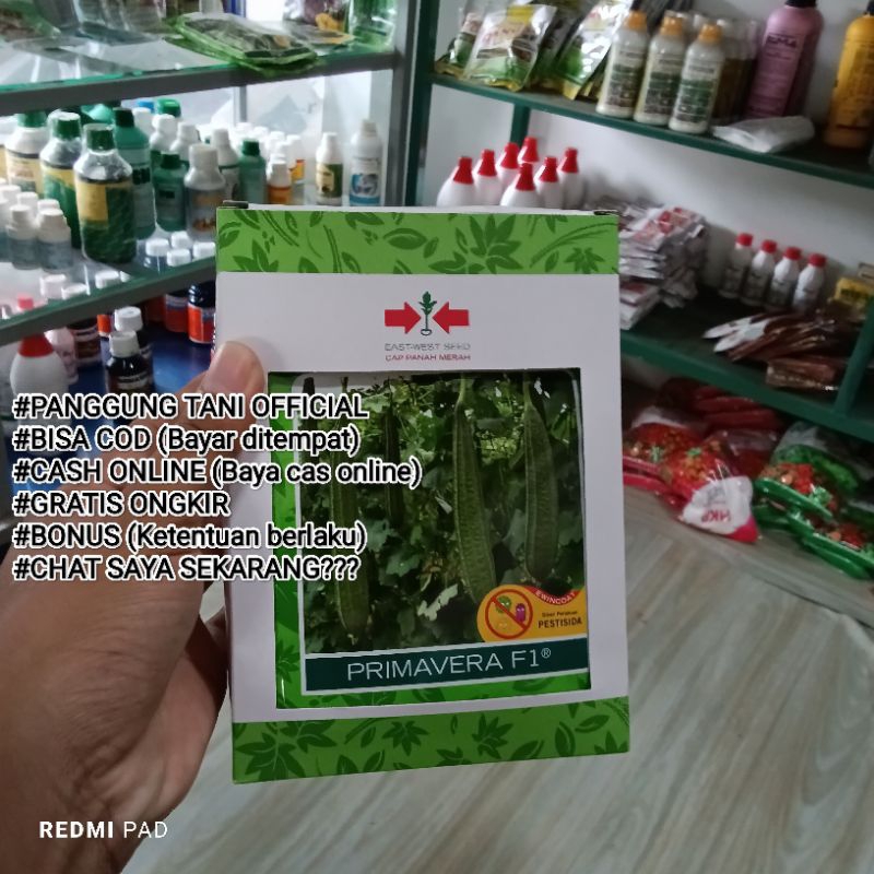 

Benih Gambas Oyong Primavera F1 Isi Benih 75 Butir Kadaluarsa. 2025 (Terbaru Panjang)/Termurah Sedunia/Tahan (Virus Gemini Kuning, Layu Fusarium) /Perawatan mudah/Tidak Pahit/Disukai Pasar/Tahan Simpan/Lebat Berbobot/100 % Ori Kemasan Pabrik