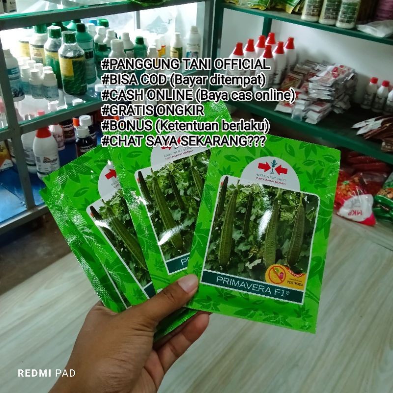 

Benih Gambas Oyong Primavera F1 Berkwalitas Isi 75 Butir Kadaluarsa. 2025 (Terbaru Panjang) Tidak Pahit/Berkwalitas/Termurah Seindonesia/Anti Virus Gemini Kuning Layu Fusarium/Perawatan mudah/Warna Hijau Disukai Pasar Tahan Simpan/Lebat Berbobot/100 % Ori