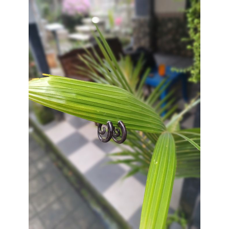 piercing baygon kayu