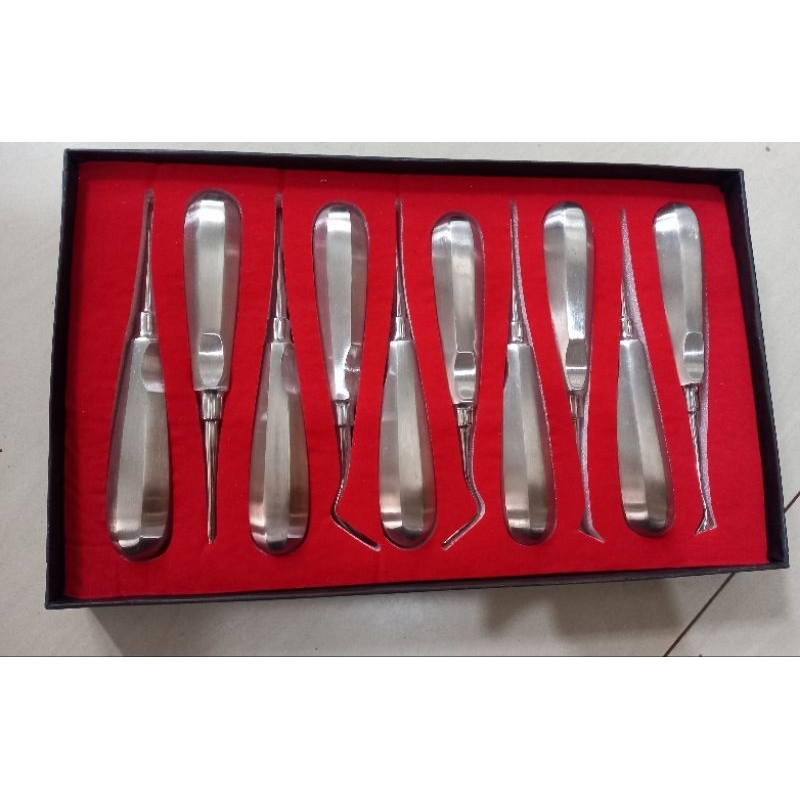 Dental bein set isi 10 root elevator luxator cryer alat instrumen