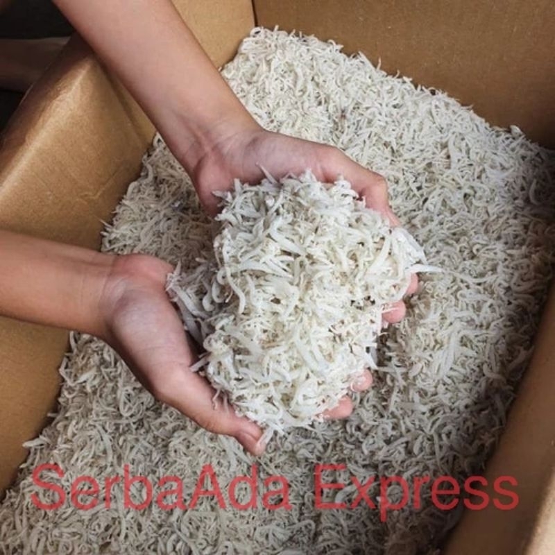 

Ikan Teri Nasi Medan Fresh