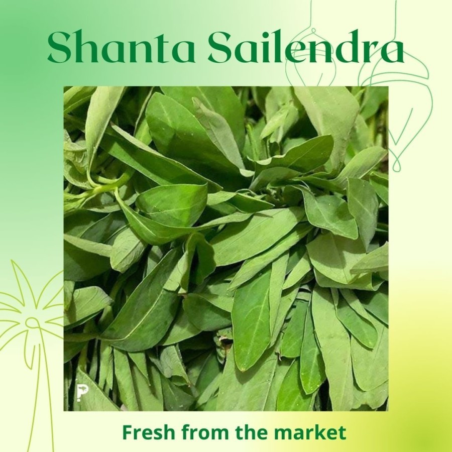 

SAYUR GONDE SAYUR GUNDA 100 GRAM