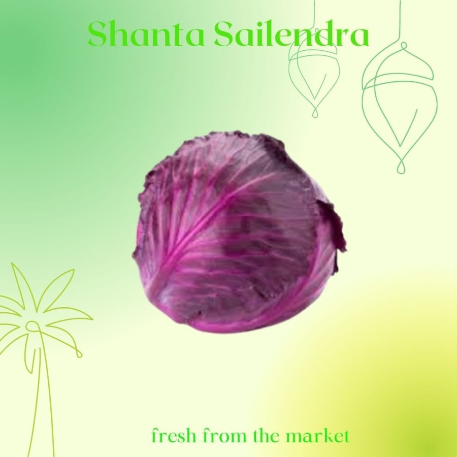 

KOL UNGU SEGAR PURPLE CABBAGE 1 BUAH